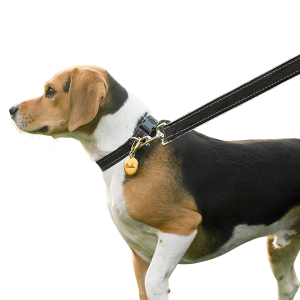 Refleksbånd i Myk Bomull til Hund Refleksbånd i Myk Bomull til Hund