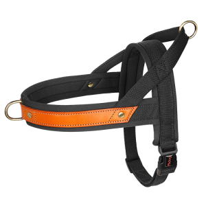 Polstret Hundesele – Uten Trekk