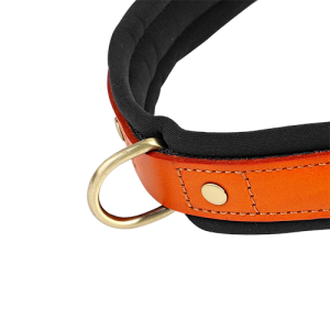 Polstret Hundesele – Uten Trekk Polstret Hundesele – Uten Trekk