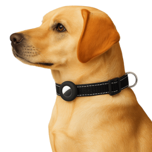 Airtag holder i silikon – Passer Apple Airtag og hundehalsbånd for kjæledyr, hund og katt Airtag holder i silikon – Passer Apple Airtag og hundehalsbånd for kjæledyr, hund og katt