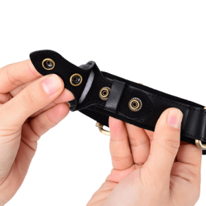 Skinnhalsbånd til Hund Med Sikker Airtag Holder