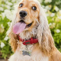 Benformet Sølvfarget Luksus