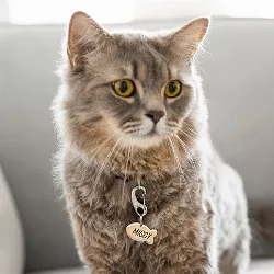 Fisk Sølvfarget ID-brikke