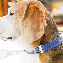 Slide-On Sølvfarget ID-brikke