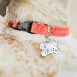 Benformet Sølvfarget Id-brikke