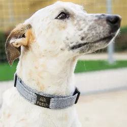 Slide-On Svart ID-brikke